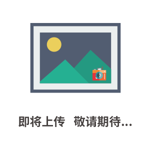 肉脯肉干生產(chǎn)線